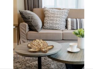 Tartaruga Decorativa Jaipur Up Home - UD371 - Imagem 5