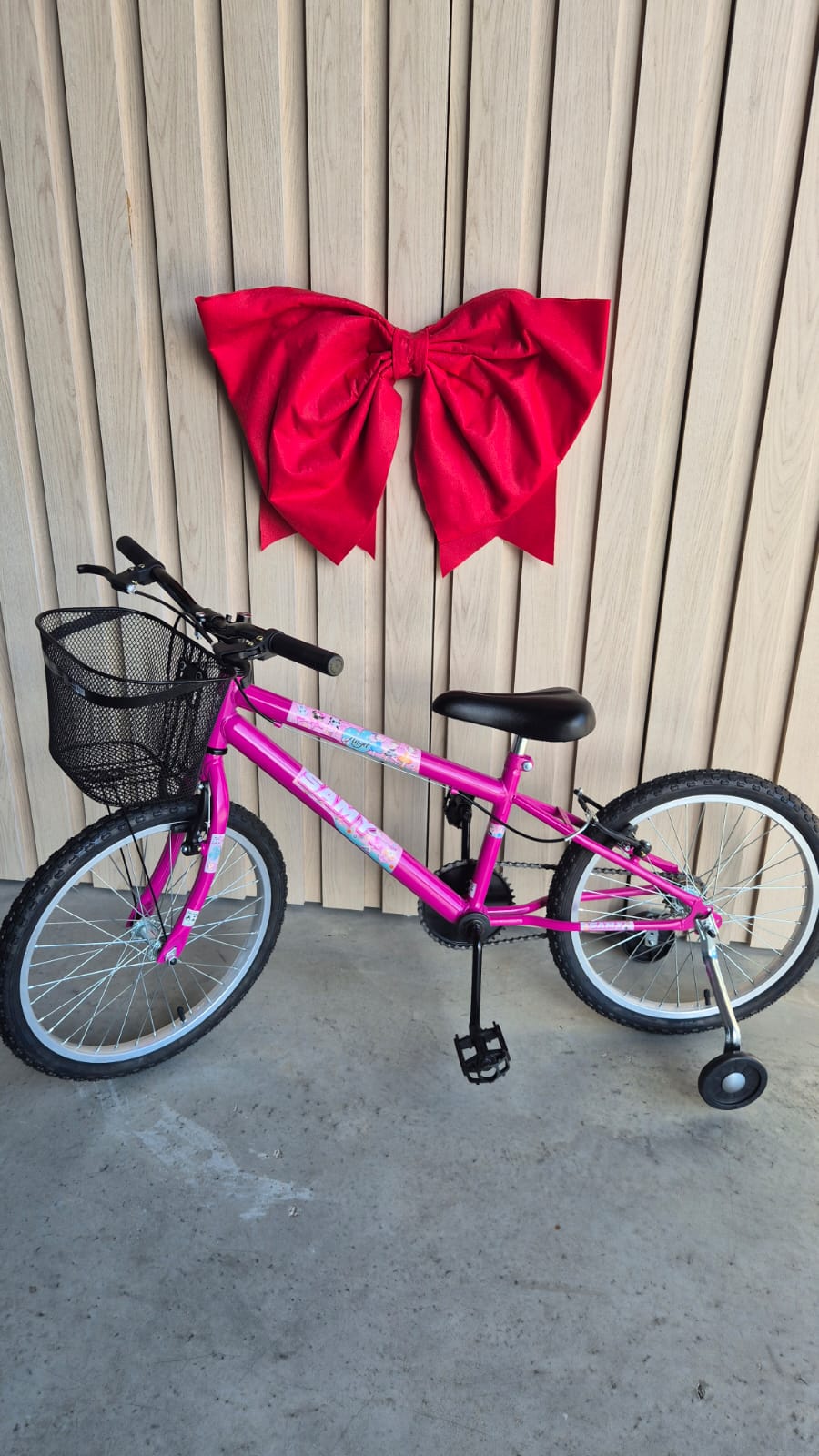 c2e6215230058c843340f211b4655fb8.jpeg Bicicleta Aro 20 Mtb Feminina Pink Samy - Imagem 1